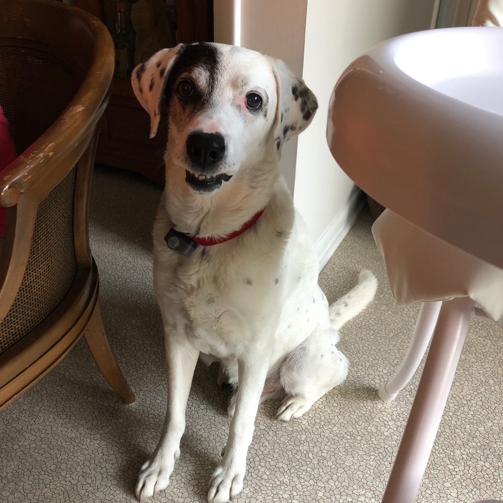 Meet your Posher, Mallory